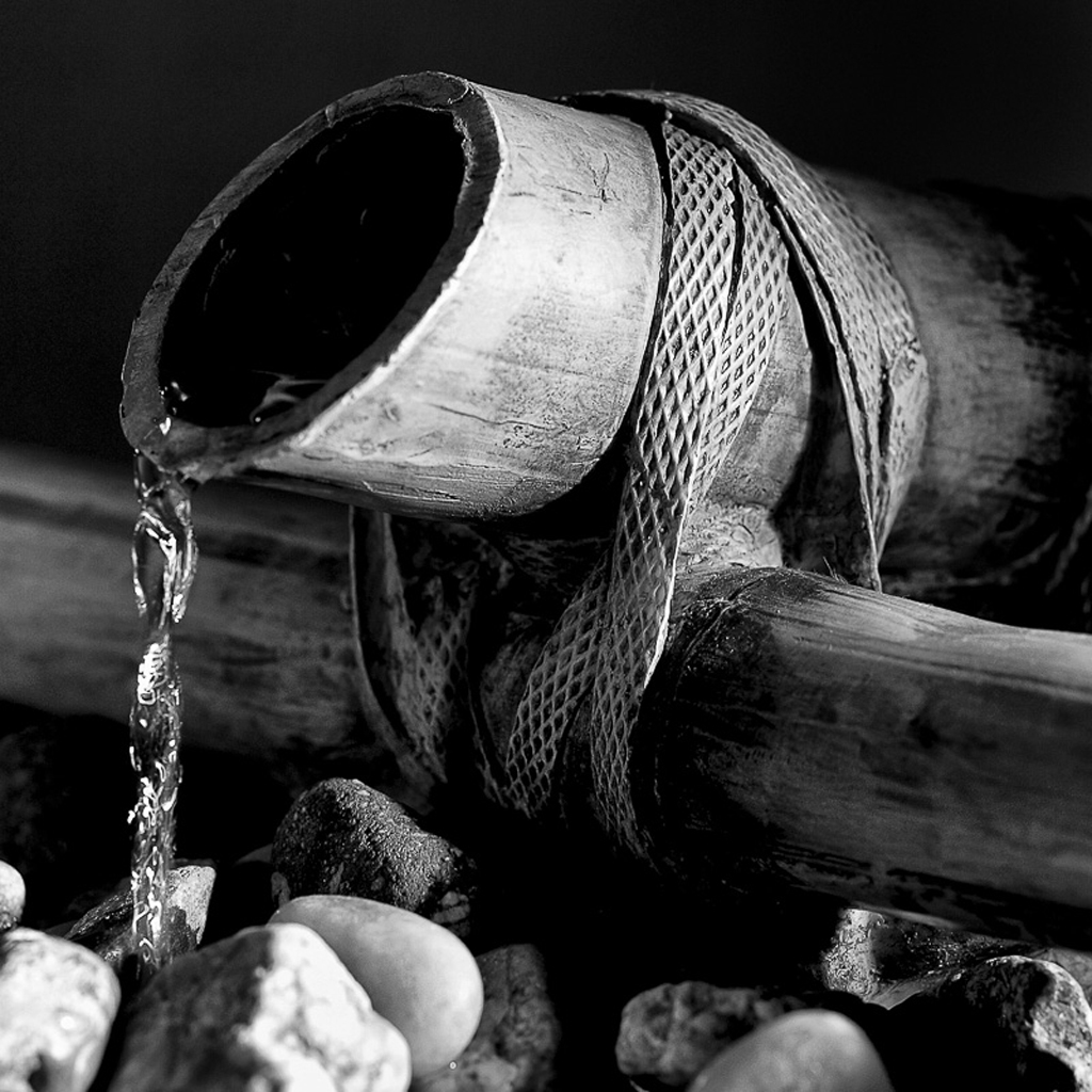 JeanClaude Sanchez coup de coeur de fox infographie