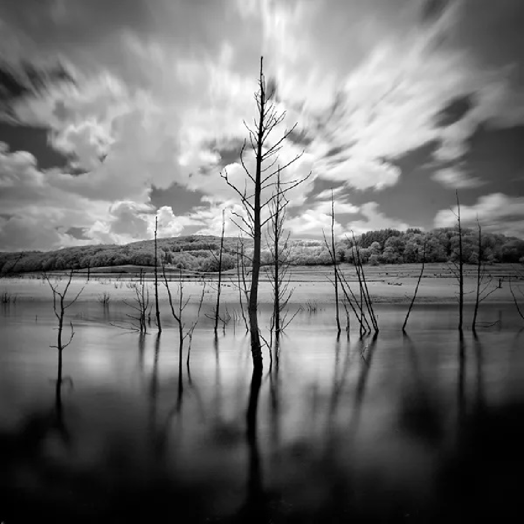 emmanuel-correia